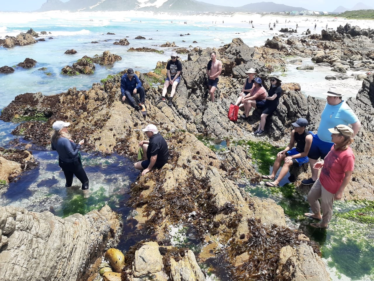 sustainable-seaside-foraging workshop